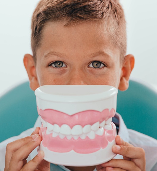 Boy Holding Teeth Model